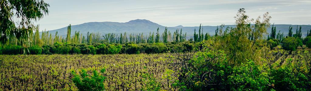Finca La Encantada San Rafael Dış mekan fotoğraf