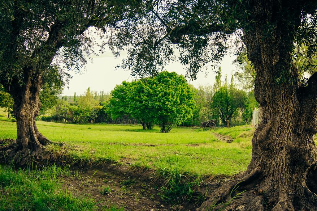 Finca La Encantada San Rafael Dış mekan fotoğraf